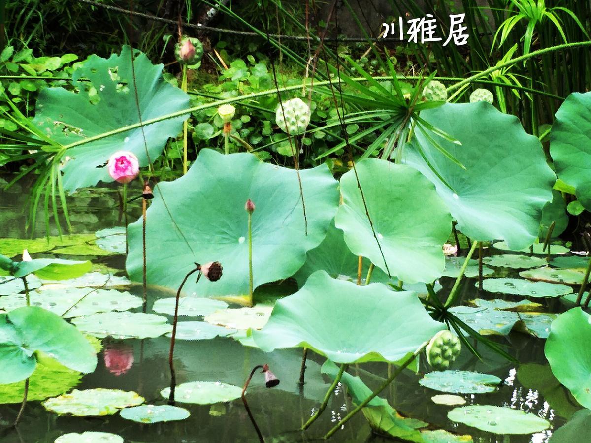 Chuan Ya Ju Homestay Qishan Ngoại thất bức ảnh